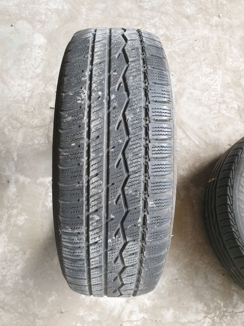 TOYO CELSIUS