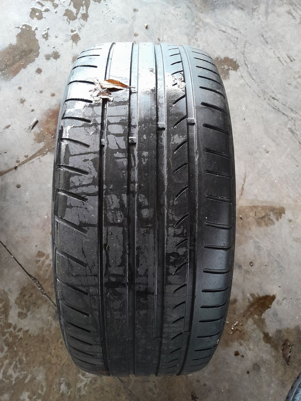 DUNLOP SP SPORT MAXX TT