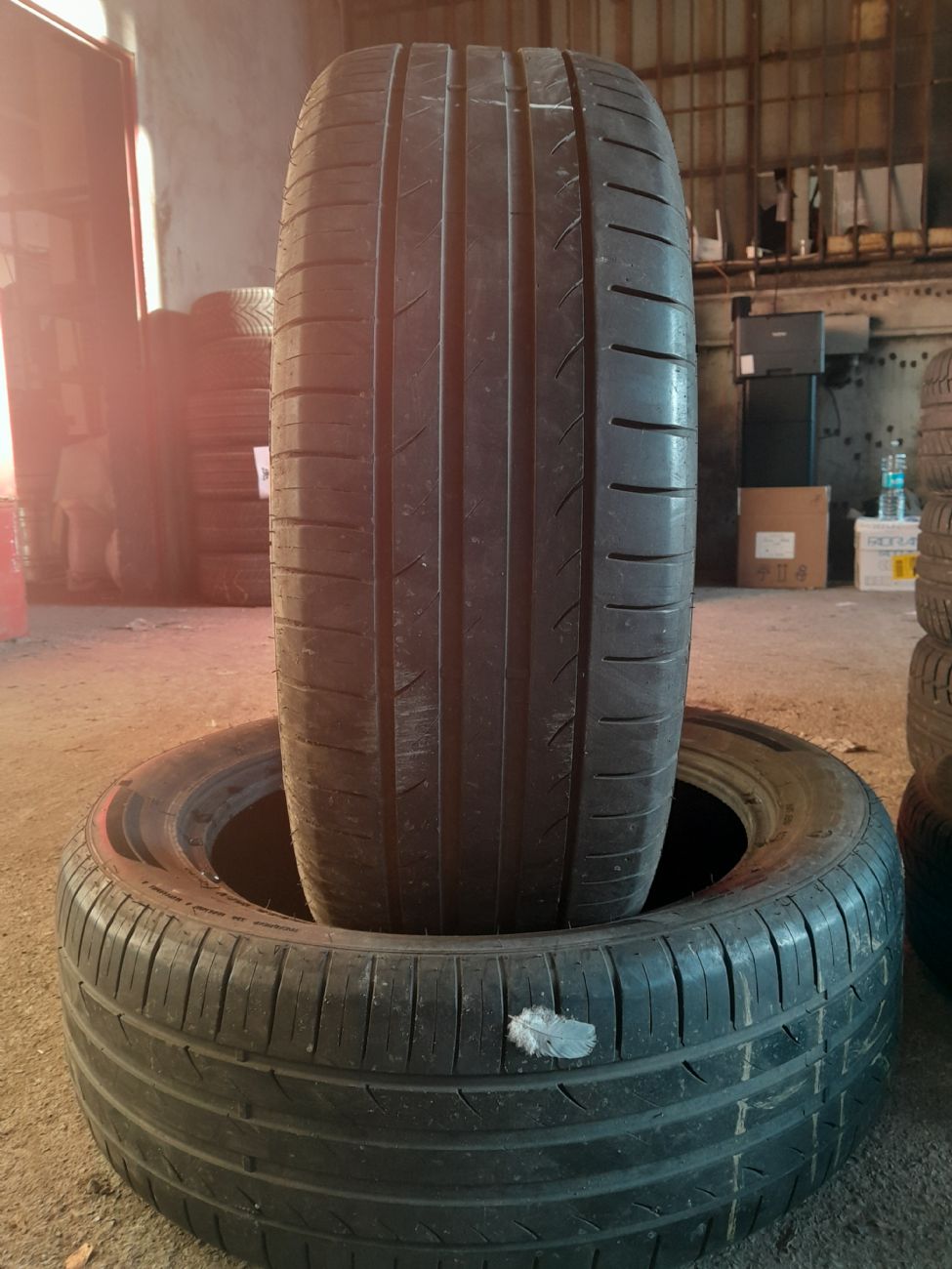 TOMASON SPORT RACE