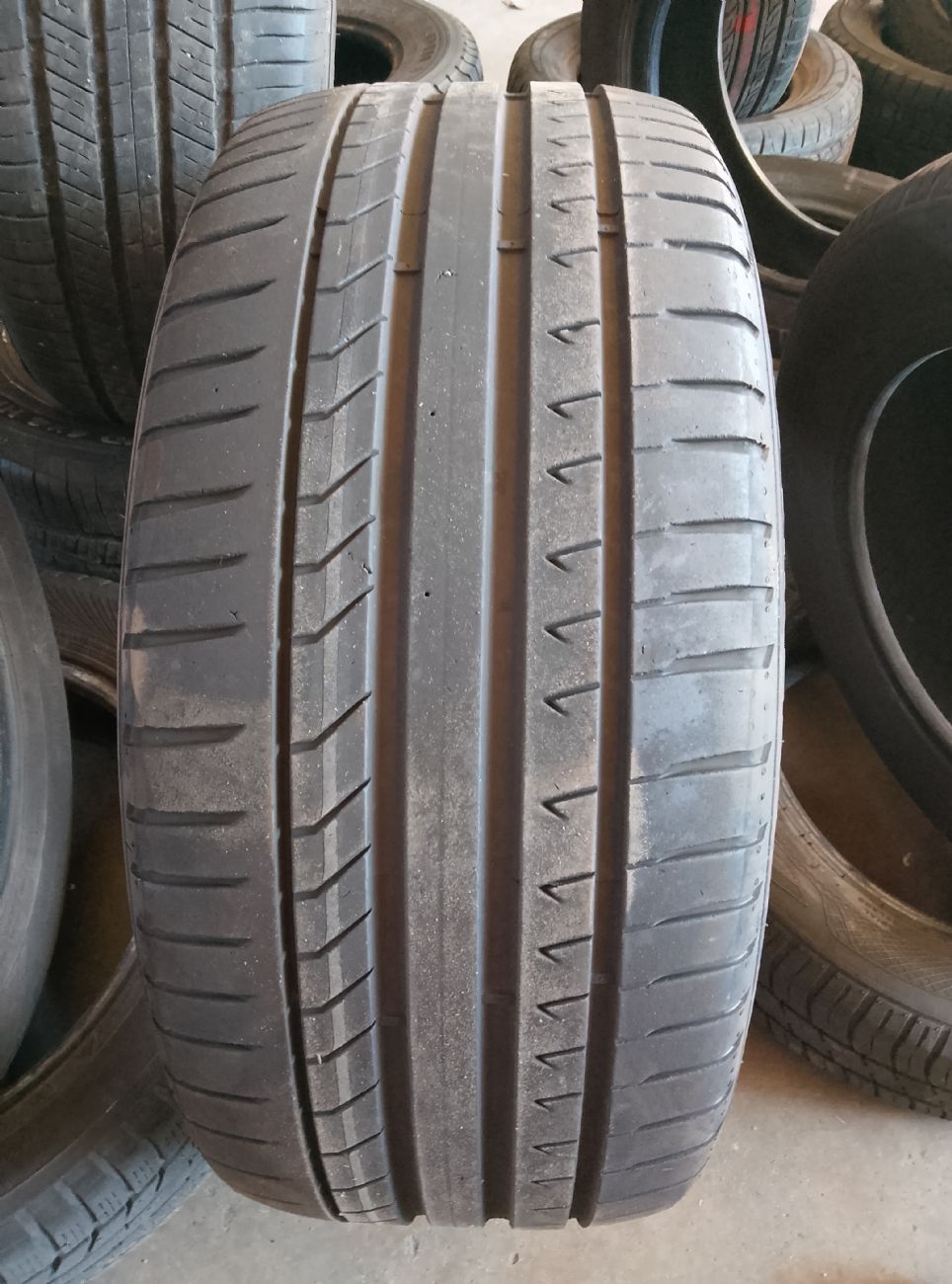 PIRELLI DRAGON SPORT