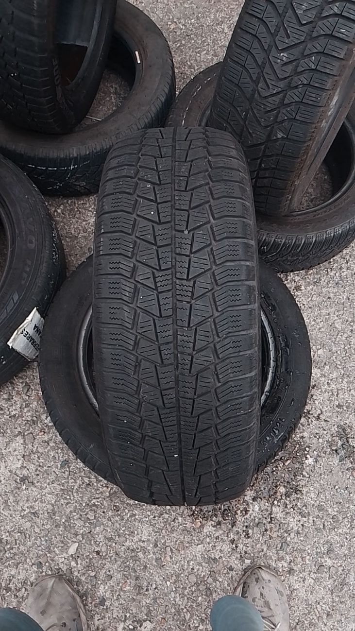 GISLAVED EURO FROST 6
