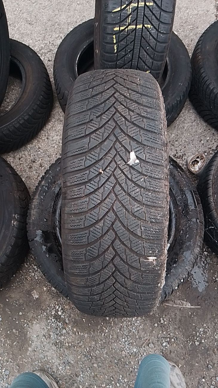 FIRESTONE WINTERHAWK