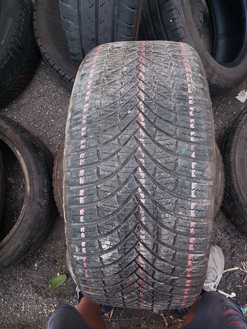 FIRESTONE MULTISEASON