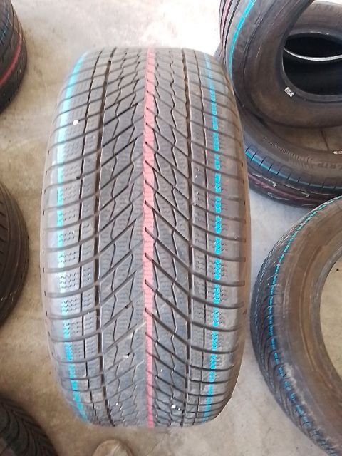 DUNLOP WINTER EV